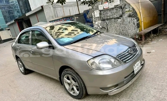 Buy Used Toyota Corolla in Bandarban, Bandarban Buy Used Toyota Corolla in Bandarban, Bandarban