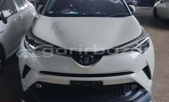 কেনা ব্যবহৃত Toyota C-HR White গাড়ী মধ্যে ঢাকা মধ্যে Dhaka কেনা ব্যবহৃত Toyota C-HR White গাড়ী মধ্যে ঢাকা মধ্যে Dhaka