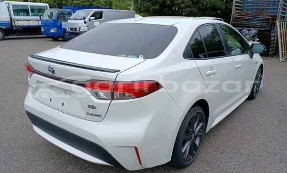 Buy Used Toyota Corolla in Baniachang, Habiganj Buy Used Toyota Corolla in Baniachang, Habiganj