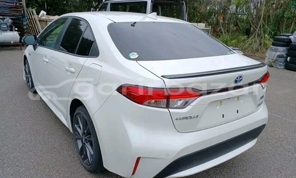 Buy Used Toyota Corolla in Baniachang, Habiganj Buy Used Toyota Corolla in Baniachang, Habiganj