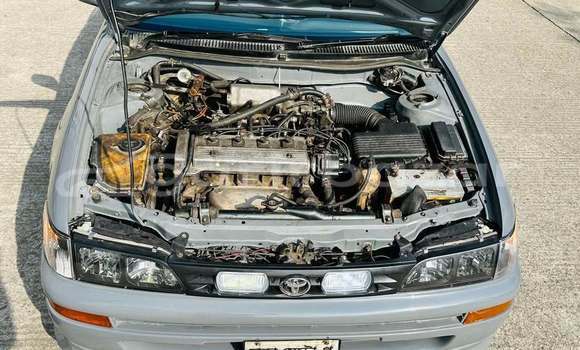Buy Used 1992 Toyota Corolla in Dhaka, Dhaka Buy Used 1992 Toyota Corolla in Dhaka, Dhaka