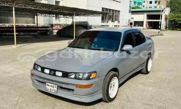 Buy Used 1992 Toyota Corolla in Dhaka, Dhaka Buy Used 1992 Toyota Corolla in Dhaka, Dhaka
