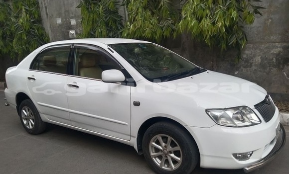 কেনা ব্যবহৃত Toyota Corolla White গাড়ী মধ্যে ঢাকা মধ্যে Dhaka কেনা ব্যবহৃত Toyota Corolla White গাড়ী মধ্যে ঢাকা মধ্যে Dhaka