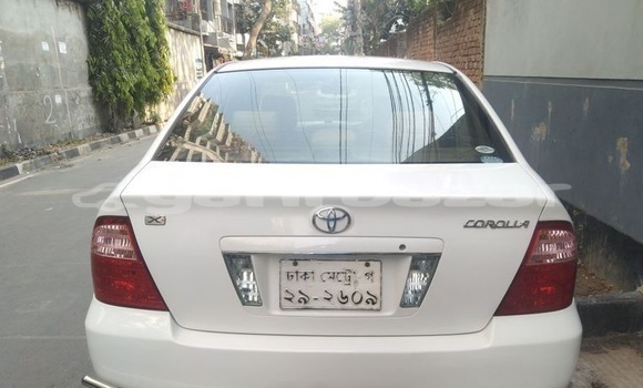 কেনা ব্যবহৃত Toyota Corolla White গাড়ী মধ্যে ঢাকা মধ্যে Dhaka কেনা ব্যবহৃত Toyota Corolla White গাড়ী মধ্যে ঢাকা মধ্যে Dhaka