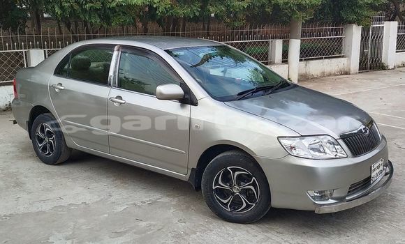 কেনা ব্যবহৃত Toyota Corolla Gold গাড়ী মধ্যে ঢাকা মধ্যে Dhaka কেনা ব্যবহৃত Toyota Corolla Gold গাড়ী মধ্যে ঢাকা মধ্যে Dhaka