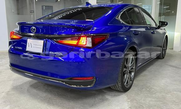 কেনা ব্যবহৃত Lexus ES 300 Blue গাড়ী মধ্যে ঢাকা মধ্যে Dhaka কেনা ব্যবহৃত Lexus ES 300 Blue গাড়ী মধ্যে ঢাকা মধ্যে Dhaka