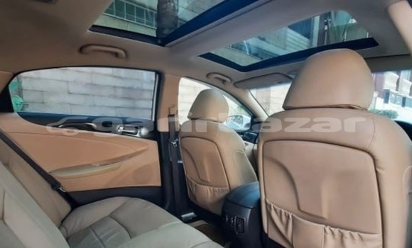 কেনা ব্যবহৃত Hyundai Sonata White গাড়ী মধ্যে ঢাকা মধ্যে Dhaka কেনা ব্যবহৃত Hyundai Sonata White গাড়ী মধ্যে ঢাকা মধ্যে Dhaka