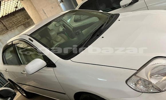 কেনা ব্যবহৃত Toyota Corolla White গাড়ী মধ্যে ঢাকা মধ্যে Dhaka কেনা ব্যবহৃত Toyota Corolla White গাড়ী মধ্যে ঢাকা মধ্যে Dhaka