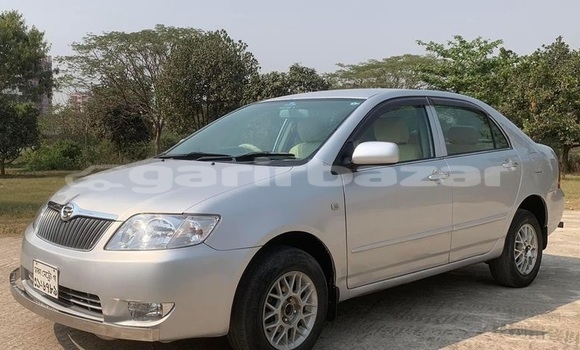 কেনা ব্যবহৃত Toyota Corolla Silver গাড়ী মধ্যে ঢাকা মধ্যে Dhaka কেনা ব্যবহৃত Toyota Corolla Silver গাড়ী মধ্যে ঢাকা মধ্যে Dhaka