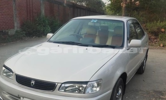 Buy Used 2000 Toyota Corolla in Dhaka, Dhaka Buy Used 2000 Toyota Corolla in Dhaka, Dhaka