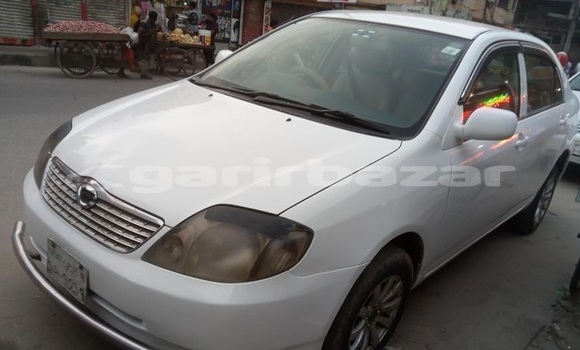 কেনা ব্যবহৃত Toyota Corolla White গাড়ী মধ্যে ঢাকা মধ্যে Dhaka কেনা ব্যবহৃত Toyota Corolla White গাড়ী মধ্যে ঢাকা মধ্যে Dhaka
