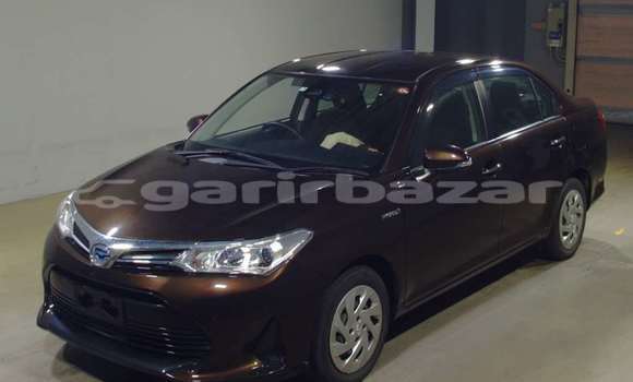 কেনা আমদানি Toyota Axio Brown গাড়ী মধ্যে ঢাকা মধ্যে Dhaka কেনা আমদানি Toyota Axio Brown গাড়ী মধ্যে ঢাকা মধ্যে Dhaka