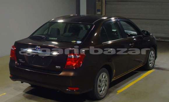 কেনা আমদানি Toyota Axio Brown গাড়ী মধ্যে ঢাকা মধ্যে Dhaka কেনা আমদানি Toyota Axio Brown গাড়ী মধ্যে ঢাকা মধ্যে Dhaka