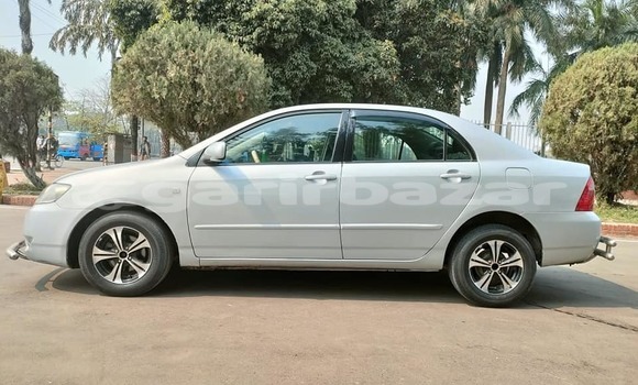 কেনা ব্যবহৃত Toyota Corolla Silver গাড়ী মধ্যে ঢাকা মধ্যে Dhaka কেনা ব্যবহৃত Toyota Corolla Silver গাড়ী মধ্যে ঢাকা মধ্যে Dhaka