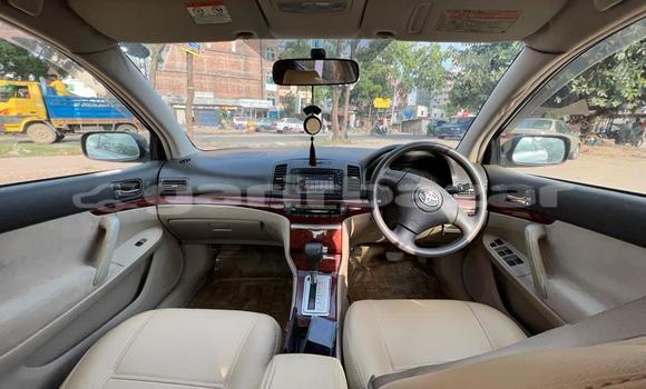 Buy Used 2005 Toyota Premio in Dhaka, Dhaka Buy Used 2005 Toyota Premio in Dhaka, Dhaka