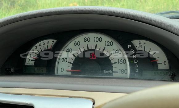 কেনা ব্যবহৃত Toyota Raum Bronze গাড়ী মধ্যে ঢাকা মধ্যে Dhaka কেনা ব্যবহৃত Toyota Raum Bronze গাড়ী মধ্যে ঢাকা মধ্যে Dhaka