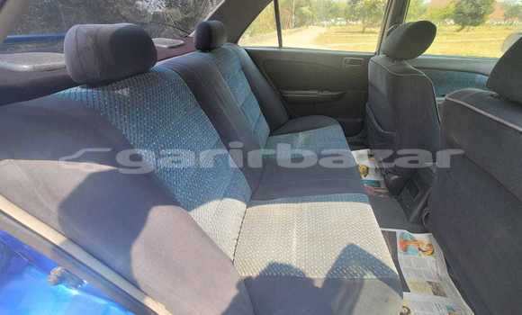 কেনা ব্যবহৃত Toyota Carina Blue গাড়ী মধ্যে ঢাকা মধ্যে Dhaka কেনা ব্যবহৃত Toyota Carina Blue গাড়ী মধ্যে ঢাকা মধ্যে Dhaka