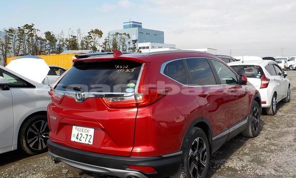 কেনা আমদানি Honda CR-V Red গাড়ী মধ্যে ঢাকা মধ্যে Dhaka কেনা আমদানি Honda CR-V Red গাড়ী মধ্যে ঢাকা মধ্যে Dhaka