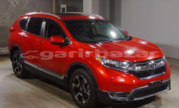কেনা আমদানি Honda CR–V Red গাড়ী মধ্যে ঢাকা মধ্যে Dhaka কেনা আমদানি Honda CR–V Red গাড়ী মধ্যে ঢাকা মধ্যে Dhaka