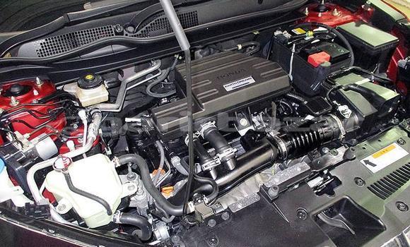 কেনা আমদানি Honda CR–V Red গাড়ী মধ্যে ঢাকা মধ্যে Dhaka কেনা আমদানি Honda CR–V Red গাড়ী মধ্যে ঢাকা মধ্যে Dhaka