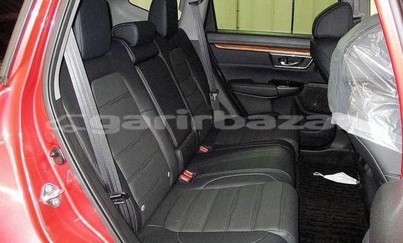 কেনা আমদানি Honda CR–V Red গাড়ী মধ্যে ঢাকা মধ্যে Dhaka কেনা আমদানি Honda CR–V Red গাড়ী মধ্যে ঢাকা মধ্যে Dhaka