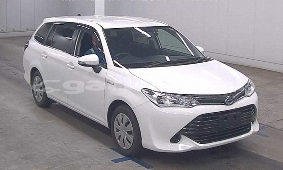 কেনা আমদানি Toyota Fielder White গাড়ী মধ্যে ঢাকা মধ্যে Dhaka কেনা আমদানি Toyota Fielder White গাড়ী মধ্যে ঢাকা মধ্যে Dhaka