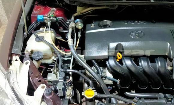 কেনা ব্যবহৃত Toyota Premio Maroon গাড়ী মধ্যে ঢাকা মধ্যে Dhaka কেনা ব্যবহৃত Toyota Premio Maroon গাড়ী মধ্যে ঢাকা মধ্যে Dhaka