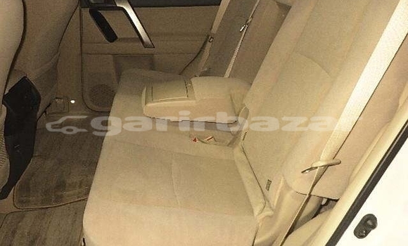 Buy Import 2019 Toyota Land Cruiser Prado in Dhaka, Dhaka Buy Import 2019 Toyota Land Cruiser Prado in Dhaka, Dhaka