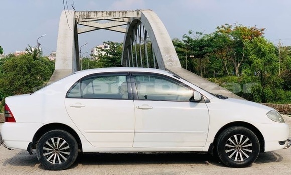 Buy Used 2003 Toyota Corolla in Dhaka, Dhaka Buy Used 2003 Toyota Corolla in Dhaka, Dhaka
