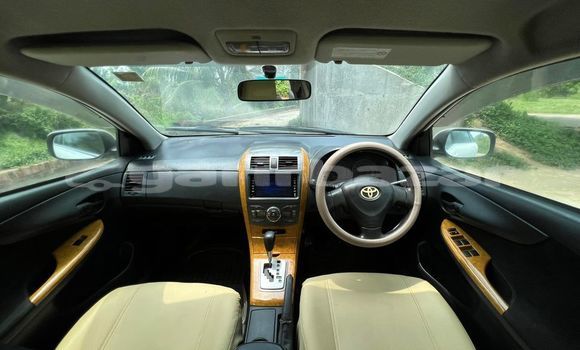 কেনা ব্যবহৃত Toyota Fielder White গাড়ী মধ্যে ঢাকা মধ্যে Dhaka কেনা ব্যবহৃত Toyota Fielder White গাড়ী মধ্যে ঢাকা মধ্যে Dhaka