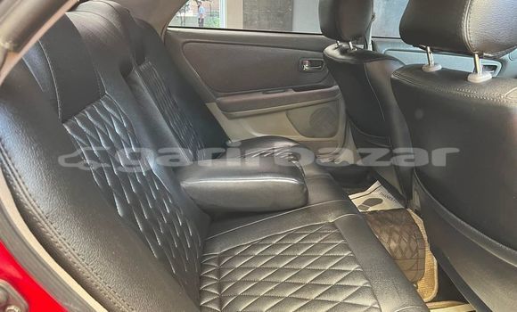 কেনা ব্যবহৃত Toyota Mark II Red গাড়ী মধ্যে ঢাকা মধ্যে Dhaka কেনা ব্যবহৃত Toyota Mark II Red গাড়ী মধ্যে ঢাকা মধ্যে Dhaka