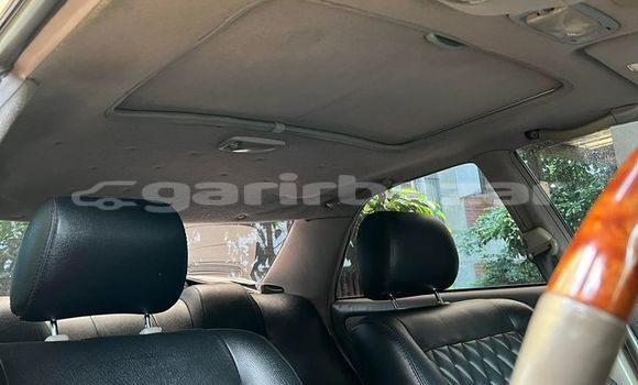 কেনা ব্যবহৃত Toyota Mark II Red গাড়ী মধ্যে ঢাকা মধ্যে Dhaka কেনা ব্যবহৃত Toyota Mark II Red গাড়ী মধ্যে ঢাকা মধ্যে Dhaka