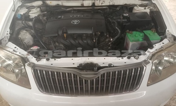কেনা ব্যবহৃত Toyota Corolla White গাড়ী মধ্যে ঢাকা মধ্যে Dhaka কেনা ব্যবহৃত Toyota Corolla White গাড়ী মধ্যে ঢাকা মধ্যে Dhaka