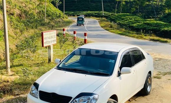 কেনা ব্যবহৃত Toyota Corolla White গাড়ী মধ্যে ঢাকা মধ্যে Dhaka কেনা ব্যবহৃত Toyota Corolla White গাড়ী মধ্যে ঢাকা মধ্যে Dhaka