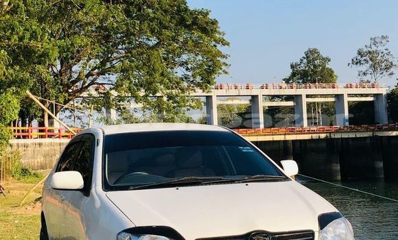 কেনা ব্যবহৃত Toyota Corolla White গাড়ী মধ্যে ঢাকা মধ্যে Dhaka কেনা ব্যবহৃত Toyota Corolla White গাড়ী মধ্যে ঢাকা মধ্যে Dhaka