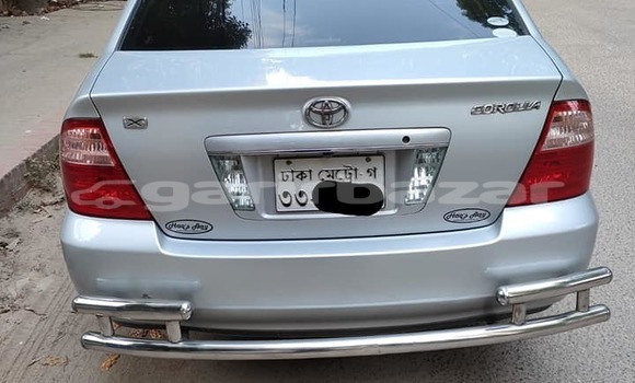 কেনা ব্যবহৃত Toyota Corolla Silver গাড়ী মধ্যে ঢাকা মধ্যে Dhaka কেনা ব্যবহৃত Toyota Corolla Silver গাড়ী মধ্যে ঢাকা মধ্যে Dhaka