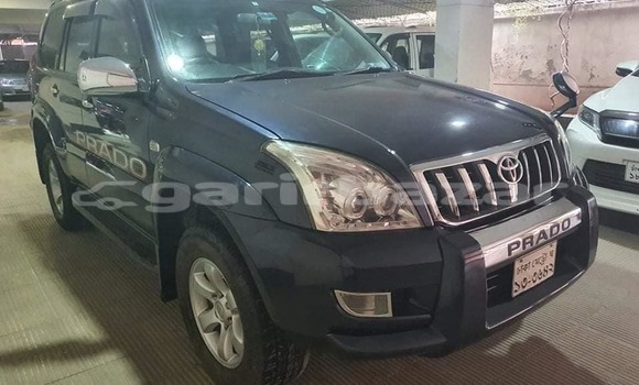 কেনা ব্যবহৃত Toyota Prado Blue গাড়ী মধ্যে ঢাকা মধ্যে Dhaka কেনা ব্যবহৃত Toyota Prado Blue গাড়ী মধ্যে ঢাকা মধ্যে Dhaka
