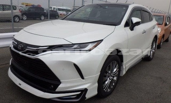 কেনা আমদানি Toyota Harrier White গাড়ী মধ্যে ঢাকা মধ্যে Dhaka কেনা আমদানি Toyota Harrier White গাড়ী মধ্যে ঢাকা মধ্যে Dhaka