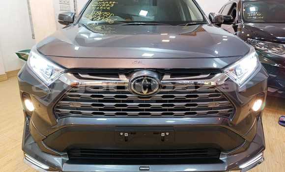 Buy Import 2019 Toyota RAV4 in Dhaka, Dhaka Buy Import 2019 Toyota RAV4 in Dhaka, Dhaka