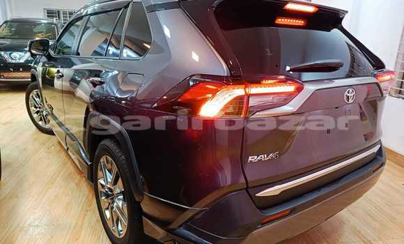 Buy Import 2019 Toyota RAV4 in Dhaka, Dhaka Buy Import 2019 Toyota RAV4 in Dhaka, Dhaka