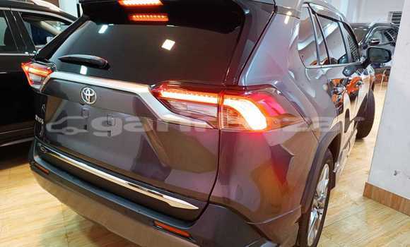 Buy Import 2019 Toyota RAV4 in Dhaka, Dhaka Buy Import 2019 Toyota RAV4 in Dhaka, Dhaka