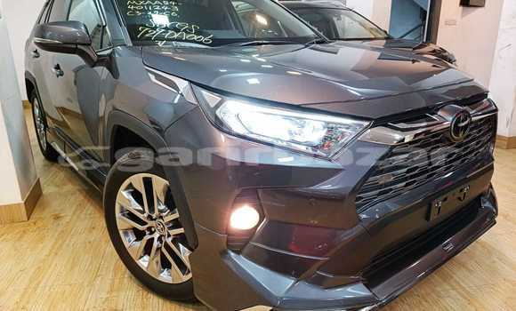 Buy Import 2019 Toyota RAV4 in Dhaka, Dhaka Buy Import 2019 Toyota RAV4 in Dhaka, Dhaka