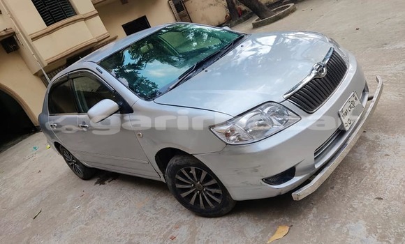 কেনা ব্যবহৃত Toyota Corolla Silver গাড়ী মধ্যে ঢাকা মধ্যে Dhaka কেনা ব্যবহৃত Toyota Corolla Silver গাড়ী মধ্যে ঢাকা মধ্যে Dhaka