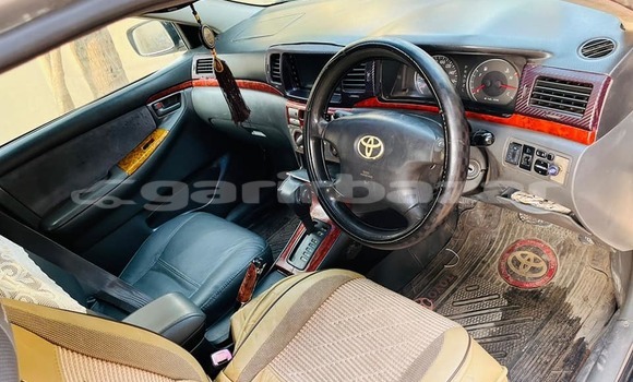 কেনা ব্যবহৃত Toyota Corolla Silver গাড়ী মধ্যে ঢাকা মধ্যে Dhaka কেনা ব্যবহৃত Toyota Corolla Silver গাড়ী মধ্যে ঢাকা মধ্যে Dhaka