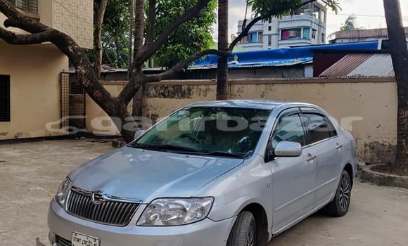 কেনা ব্যবহৃত Toyota Corolla Silver গাড়ী মধ্যে ঢাকা মধ্যে Dhaka কেনা ব্যবহৃত Toyota Corolla Silver গাড়ী মধ্যে ঢাকা মধ্যে Dhaka