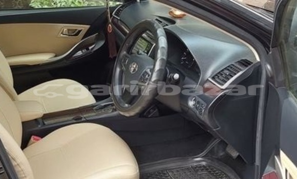 কেনা আমদানি Toyota Premio Black গাড়ী মধ্যে ঢাকা মধ্যে Dhaka কেনা আমদানি Toyota Premio Black গাড়ী মধ্যে ঢাকা মধ্যে Dhaka
