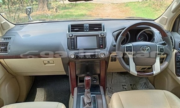 কেনা ব্যবহৃত Toyota Land Cruiser Prado Bronze গাড়ী মধ্যে ঢাকা মধ্যে Dhaka কেনা ব্যবহৃত Toyota Land Cruiser Prado Bronze গাড়ী মধ্যে ঢাকা মধ্যে Dhaka