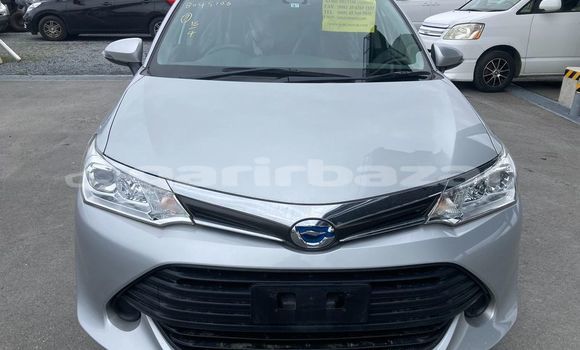 কেনা আমদানি Toyota Fielder Silver গাড়ী মধ্যে ঢাকা মধ্যে Dhaka কেনা আমদানি Toyota Fielder Silver গাড়ী মধ্যে ঢাকা মধ্যে Dhaka