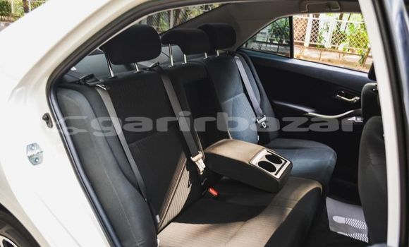 কেনা ব্যবহৃত Toyota Premio White গাড়ী মধ্যে ঢাকা মধ্যে Dhaka কেনা ব্যবহৃত Toyota Premio White গাড়ী মধ্যে ঢাকা মধ্যে Dhaka