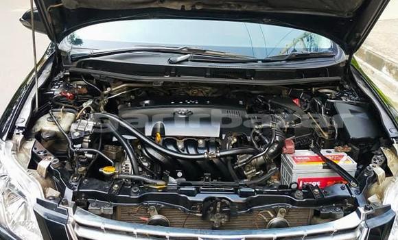 কেনা ব্যবহৃত Toyota Premio Black গাড়ী মধ্যে ঢাকা মধ্যে Dhaka কেনা ব্যবহৃত Toyota Premio Black গাড়ী মধ্যে ঢাকা মধ্যে Dhaka